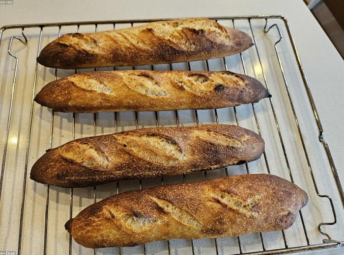 Country Baguette
