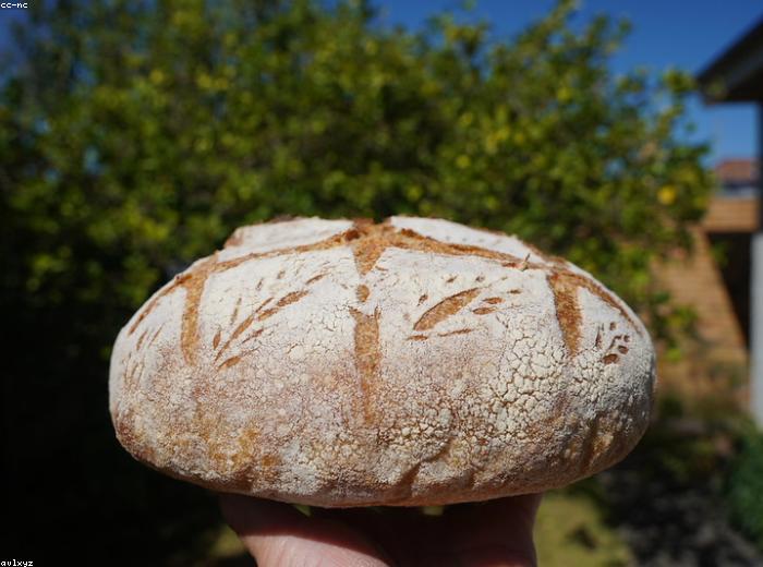 Seeded Multigrain