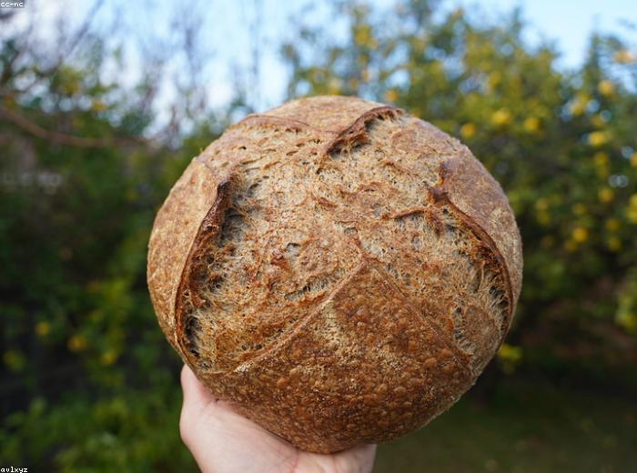 Sourdough Boule